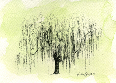 400x285 weeping willow prints flyoung studio - Weeping Willow Drawing