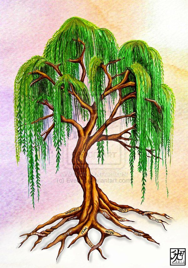 600x856 willow tree tattoo weeping willow with virtue roots - Weeping Willow Drawing