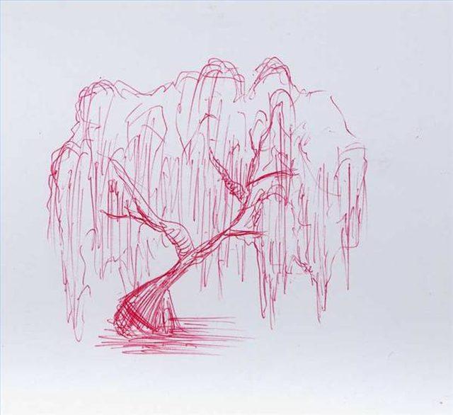 640x586 how to draw a wheeping willow tree - Weeping Willow Drawing