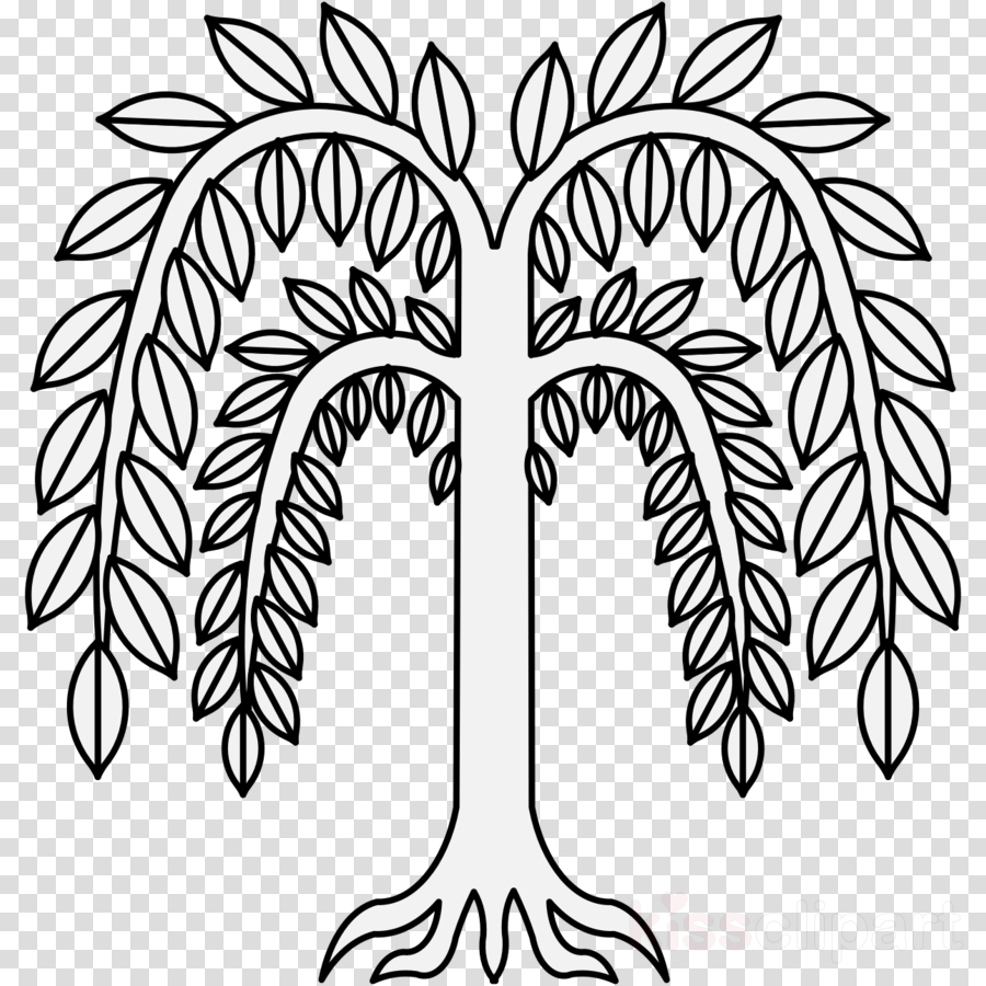 900x900 Tree, Drawing, Leaf, Transparent Png Image Clipart Free Download - Weeping Willow Tree Drawing