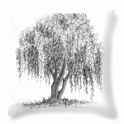500x500 Weeping Willow Tree Sketches Lovely Weeping Willow Drawing - Weeping Willow Tree Drawing