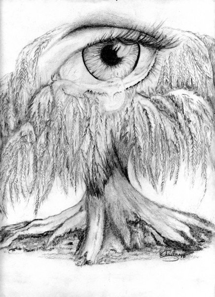 436x600 How To Draw A Weeping Willow Step - Weeping Willow Tree Drawing