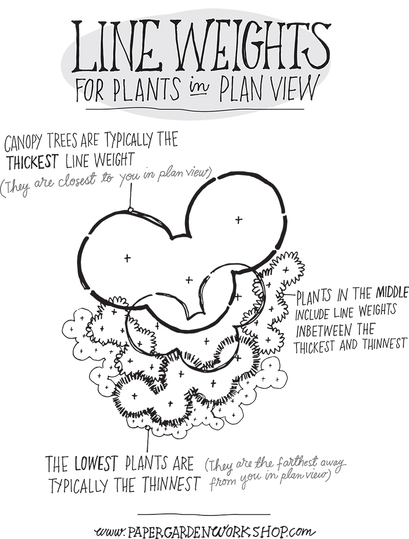800x1052 line weights for plants in plan view - Weight Drawing