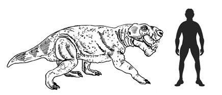436x187 a scale drawing of the late permian gorgonopsid inostrancevia - Weight Scale Drawing