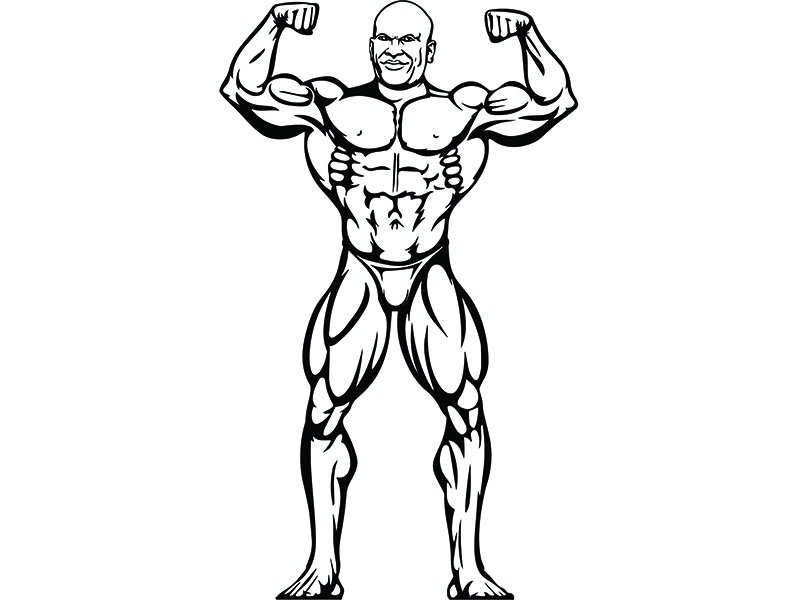 798x600 bodybuilder muscles fit weightlifting bodybuilding fitness etsy - Weightlifting Drawing