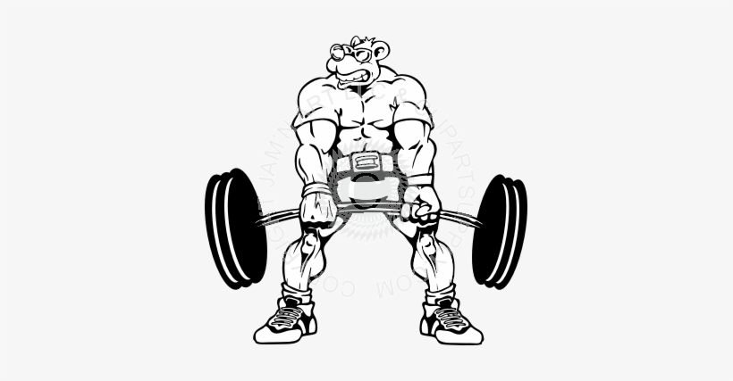 820x427 dumbbell drawing bodybuilding - Weightlifting Drawing