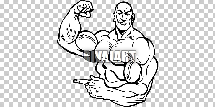 728x361 eugen sandow bodybuilding olympic weightlifting drawing - Weightlifting Drawing
