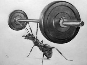 300x225 original artwork - Weightlifting Drawing