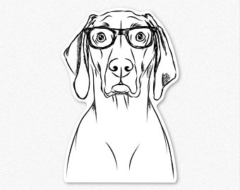 340x270 Weimaraner Drawing Etsy - Weimaraner Drawing