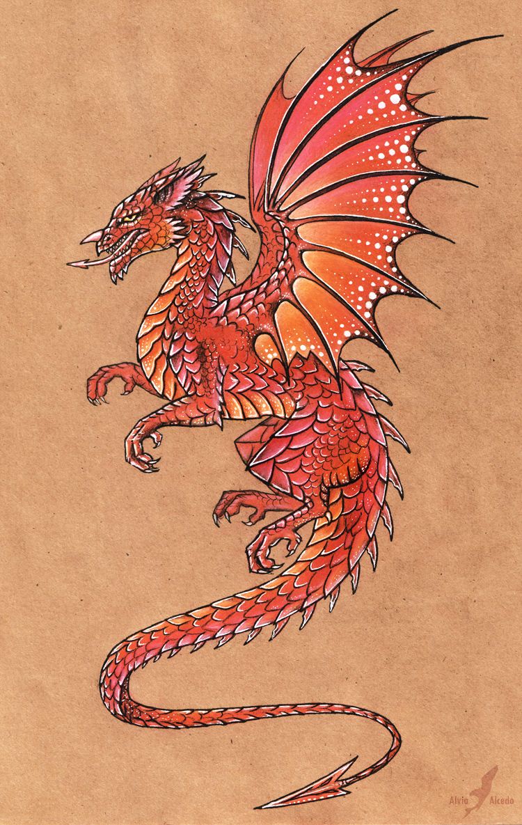 750x1185 welsh dragon - Welsh Dragon Drawing