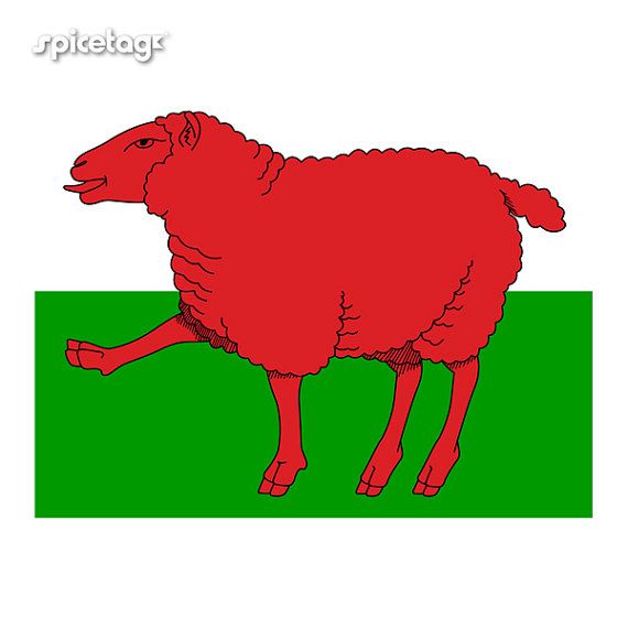 570x570 y ddraig goch the red dragon flag of wales should be banned - Welsh Dragon Drawing