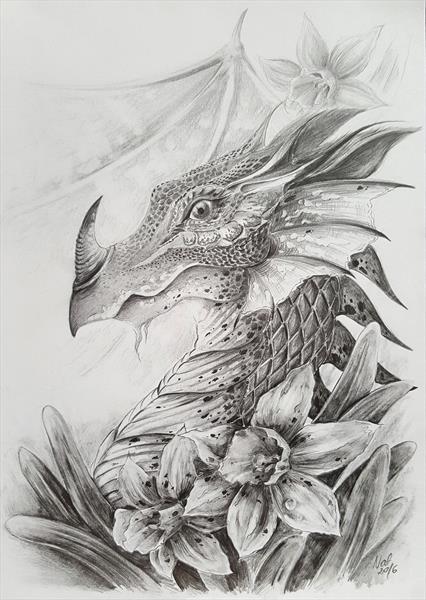 426x600 welsh dragon - Welsh Dragon Drawing