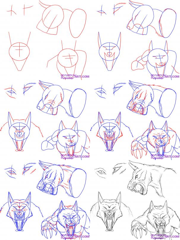 604x804 How To Draw A Werewolf Yay!!!!!!! Animechic Drawing - Werewolf Drawing Tutorial