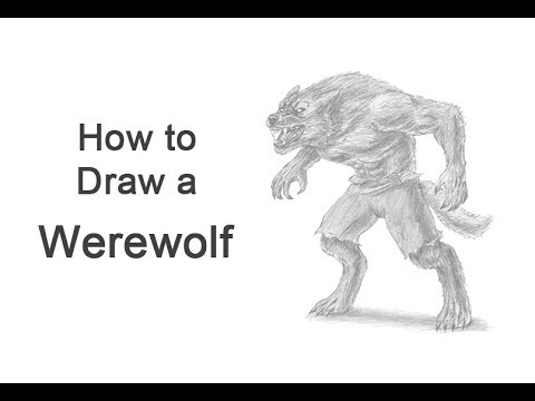 480x360 How To Draw A Werewolf - Werewolf Drawing Tutorial