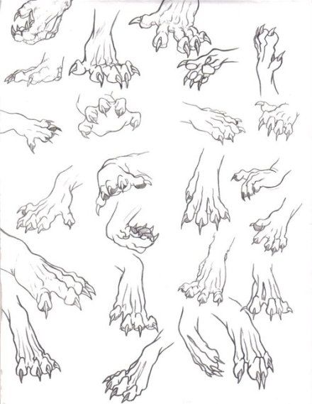 440x569 Animal References Werewolves - Werewolf Drawing Tutorial