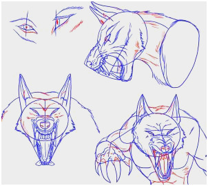 302x269 Realistic Wolf Drawing Tutorial Elegant How To Draw A Werewolf - Werewolf Drawing Tutorial