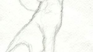 300x170 Wolf Realistic Drawing Step - Werewolf Drawing Tutorial