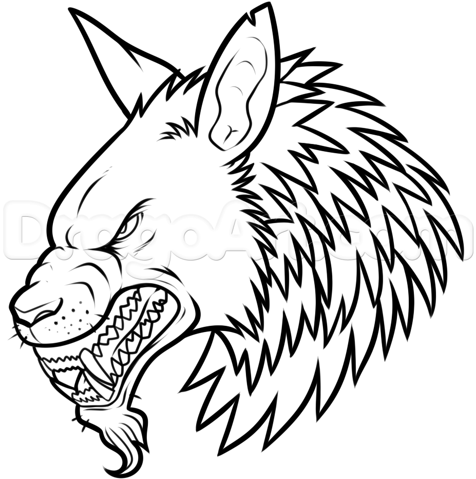 927x932 how to draw a werewolf head, step - Werewolf Drawings