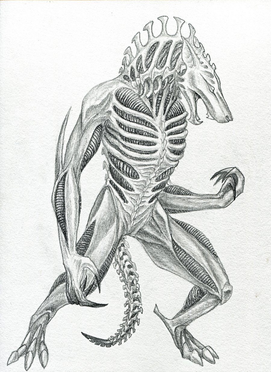 900x1234 fortnite drawing werewolf for free download - Werewolf Drawings