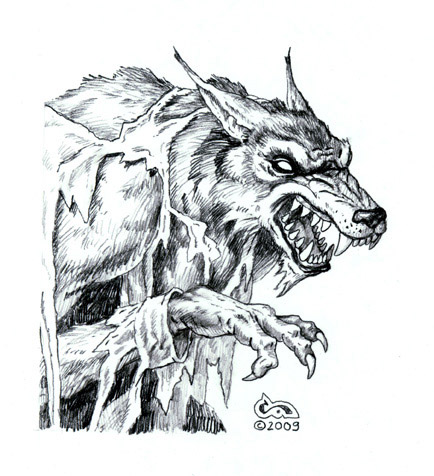 434x476 werewolf - Werewolf Drawings