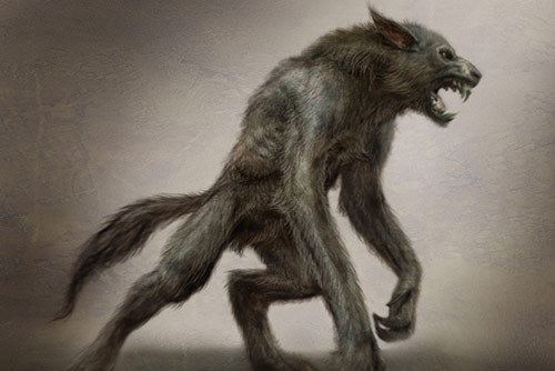 500x334 werewolves images werewolf drawings wallpaper and background - Werewolf Drawings