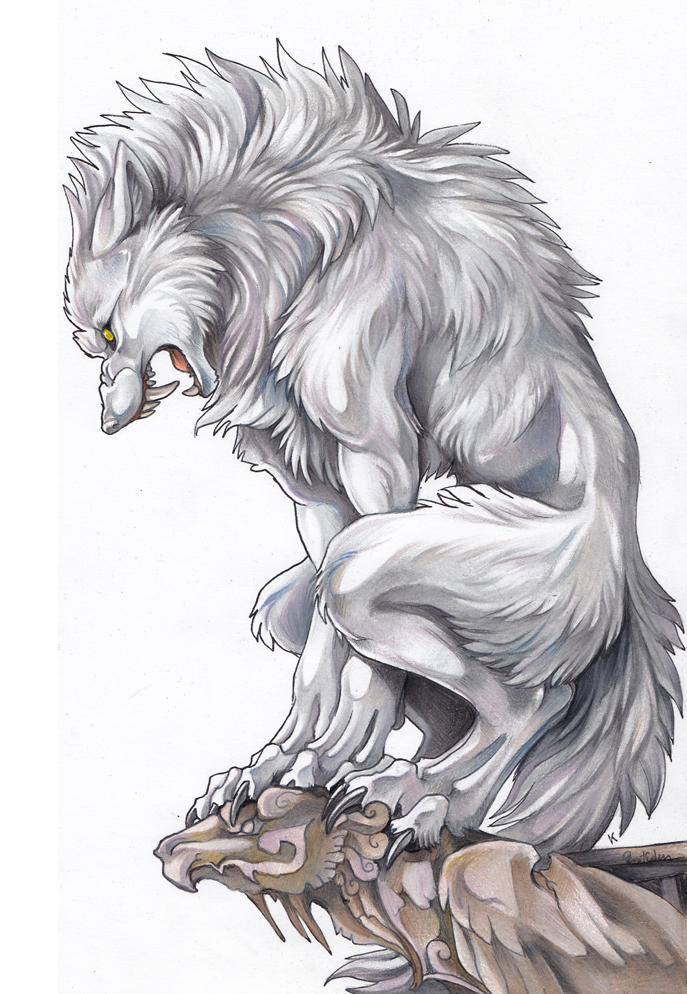 687x994 white werewolf - Werewolf Drawings