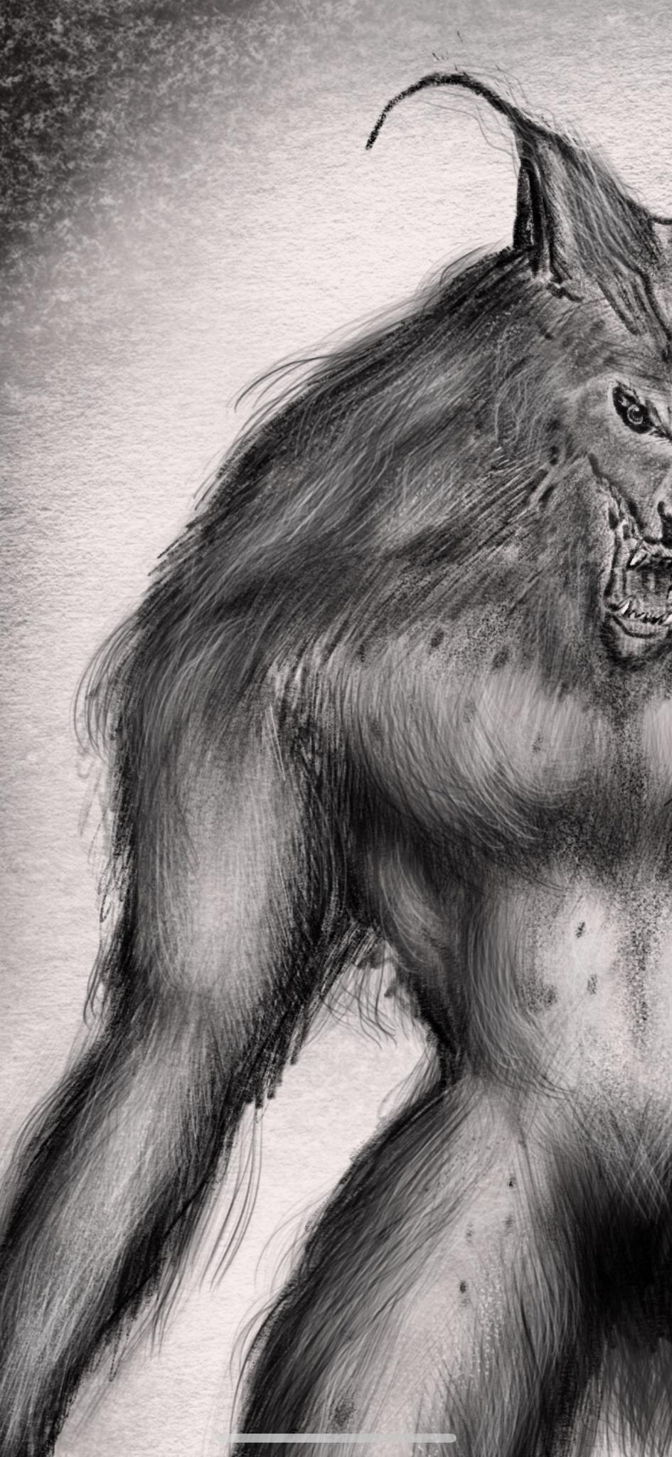 945x2048 drawing a scary werewolf - Werewolf Drawings