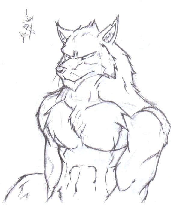 wolf human drawing