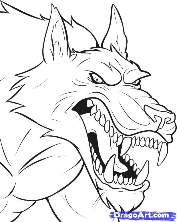 619x777 how to draw werewolves, step - Werewolf Face Drawing