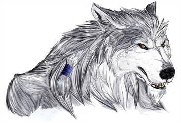 368x250 random werewolf face - Werewolf Face Drawing