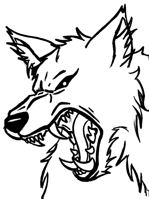 600x800 werewolf face drawing - Werewolf Face Drawing