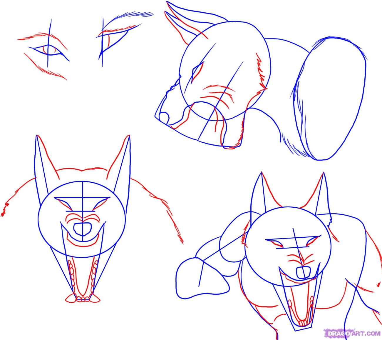 1300x1156 how to draw a werewolf face, head, eyes step character stuff - Werewolf Face Drawing