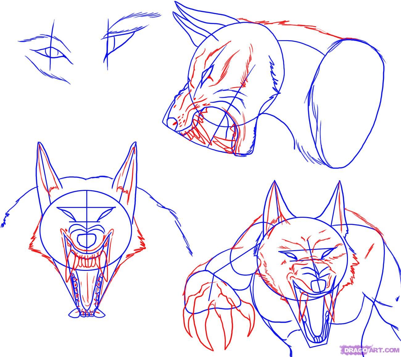 1300x1156 how to draw a werewolf face, head, eyes step drawing - Werewolf Face Drawing