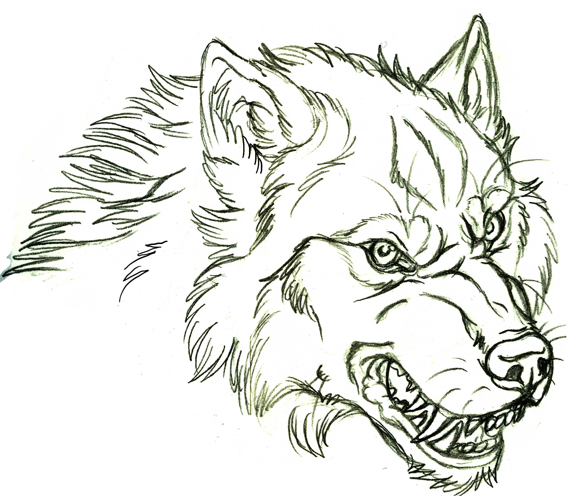 2400x2057 drawn werewolf face - Werewolf Face Drawing