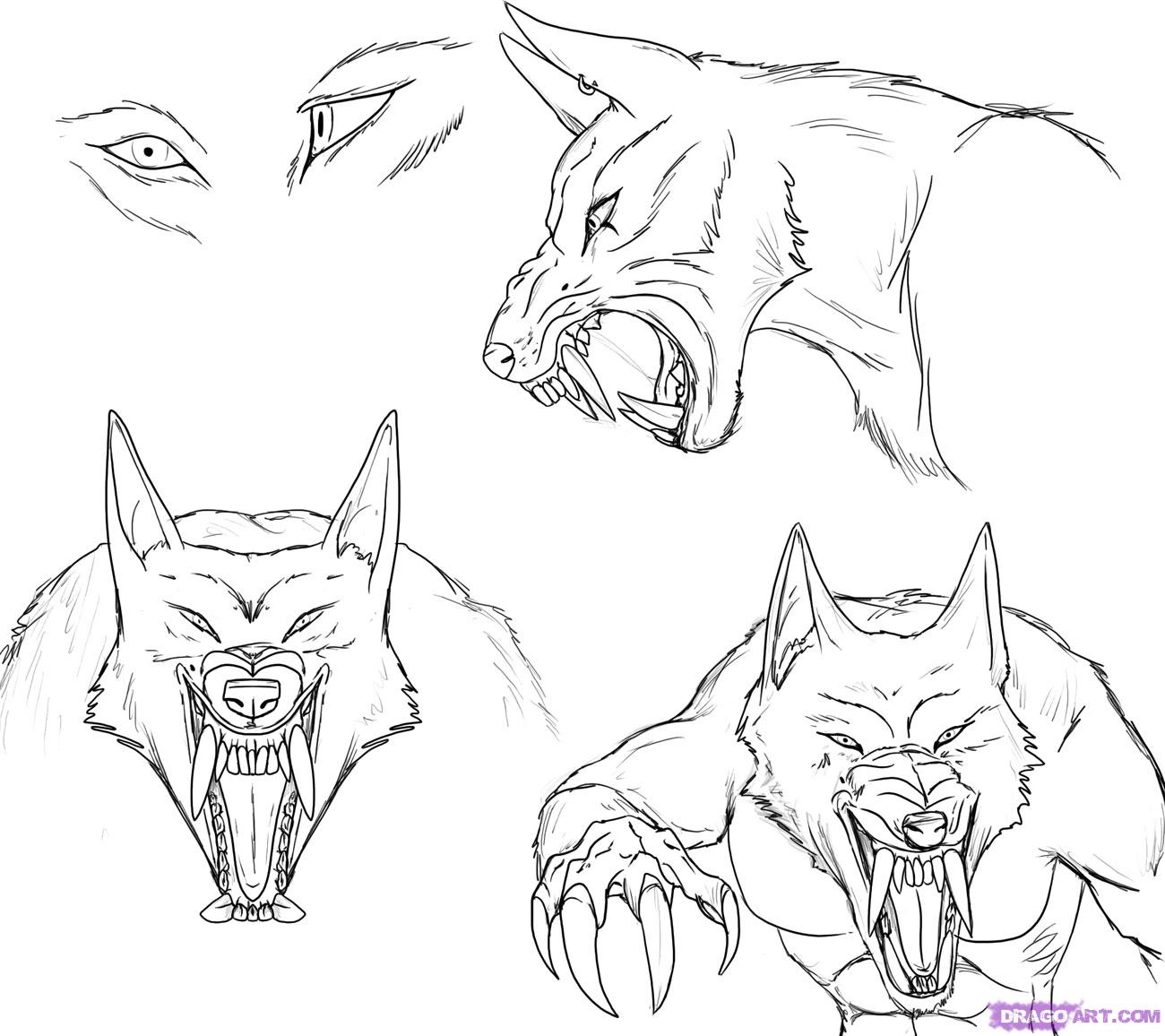 1300x1156 Step How To Draw A Werewolf Face, Head, Eyes - Werewolf Head Drawing