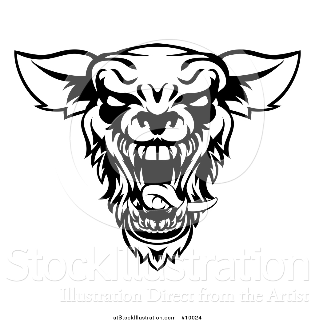 1024x1044 Vector Illustration Of A Black And White Roaring Werewolf Head - Werewolf Head Drawing