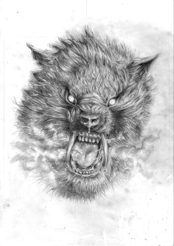 600x848 Werewolf Head Amazing Drawing Drawing Skill - Werewolf Head Drawing