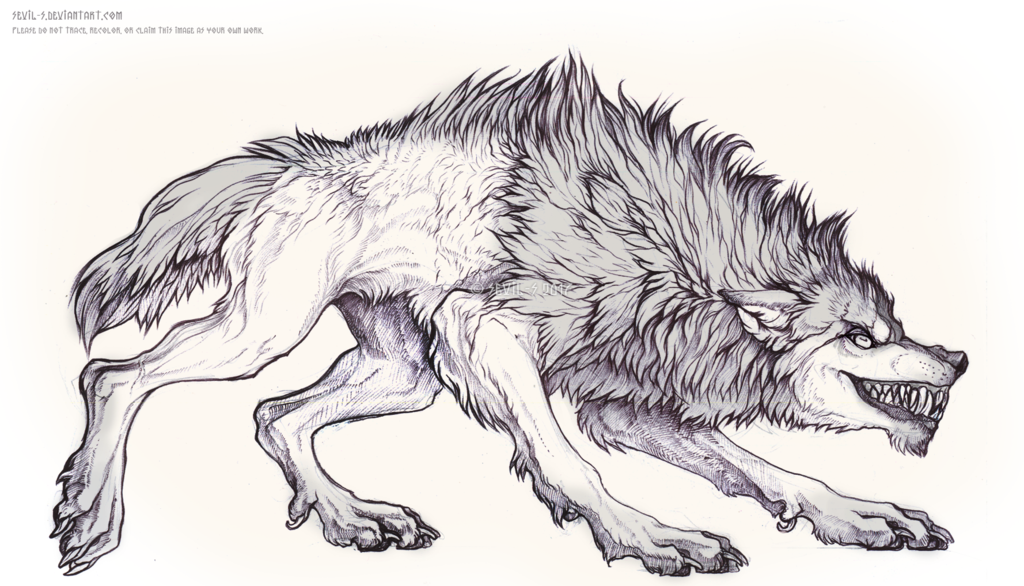 Werewolf Head Drawing at Explore collection of