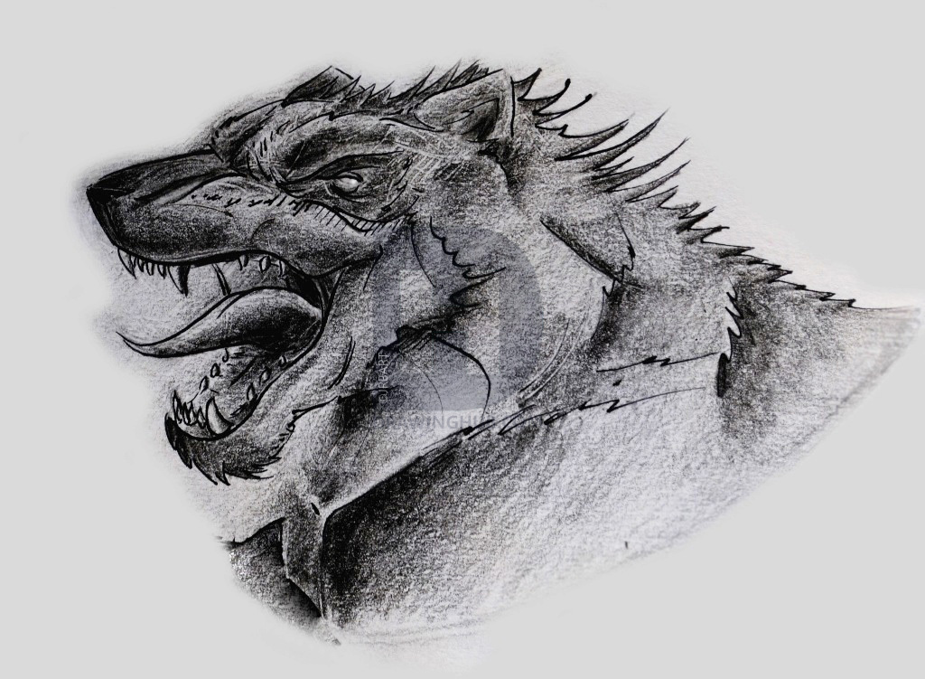 1024x751 Werewolf Head Drawing - Werewolf Head Drawing