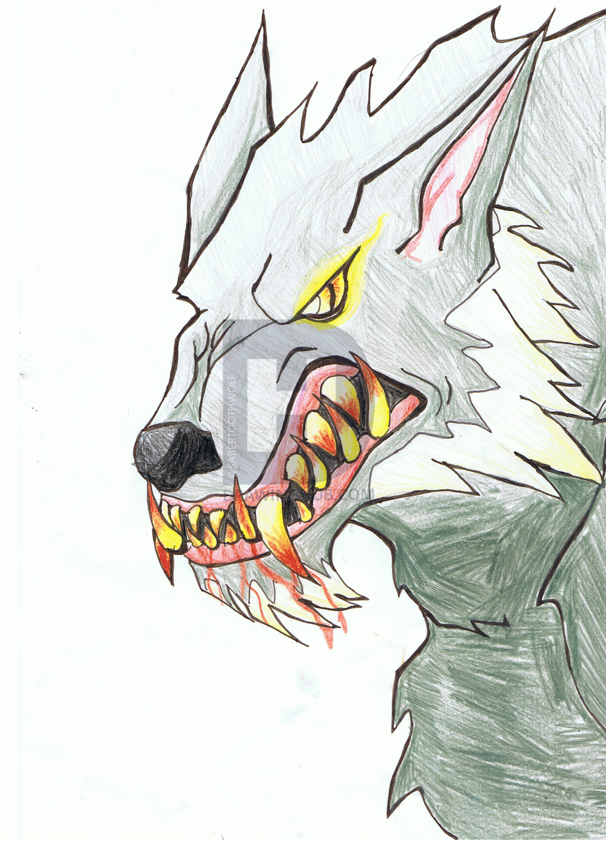 2480x3437 Werewolf Head Drawing - Werewolf Head Drawing