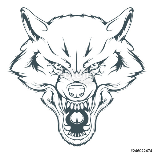 500x500 wolf head vector drawing, wolf face drawing sketch, wolf head - Werewolf Head Drawing