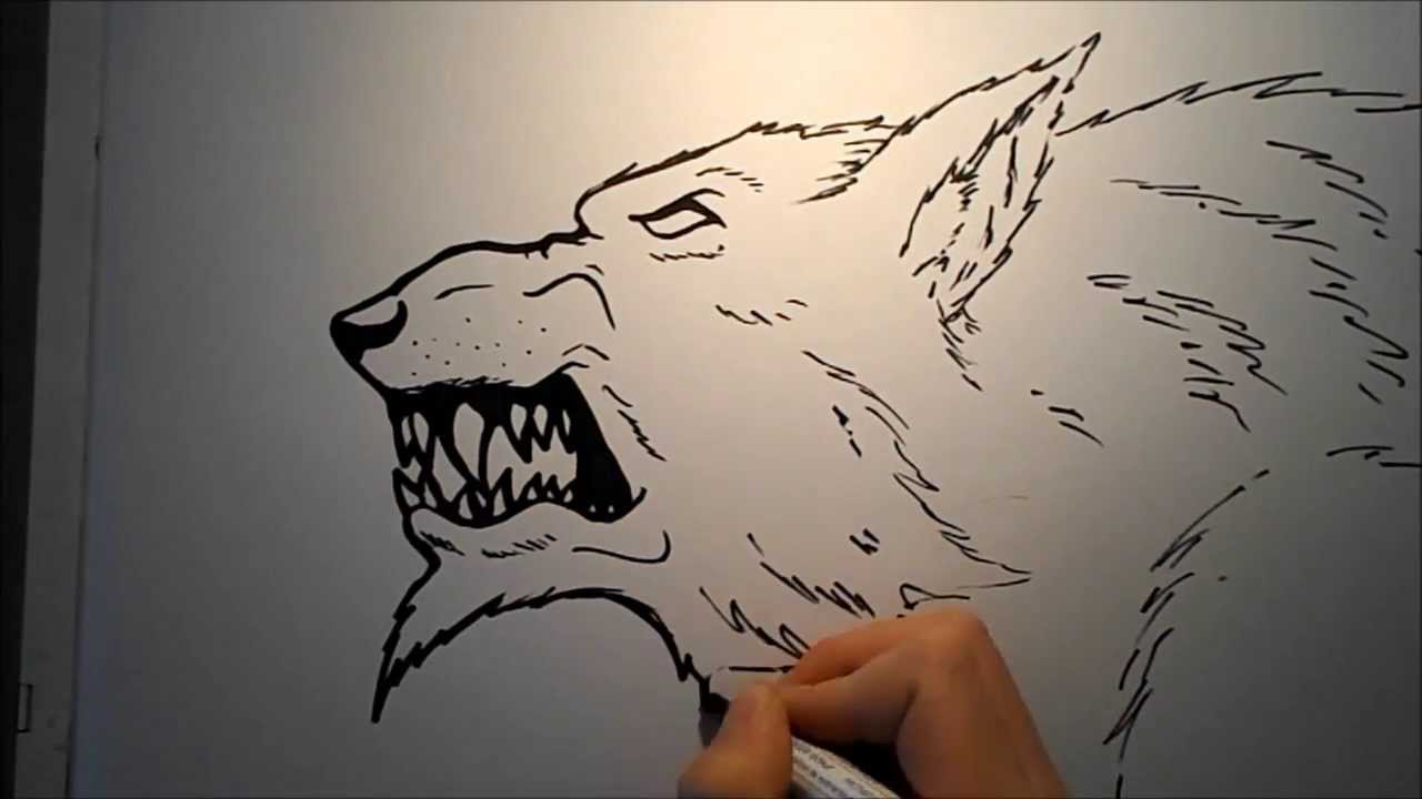 1280x720 how to draw a werewolf head - Werewolf Head Drawing