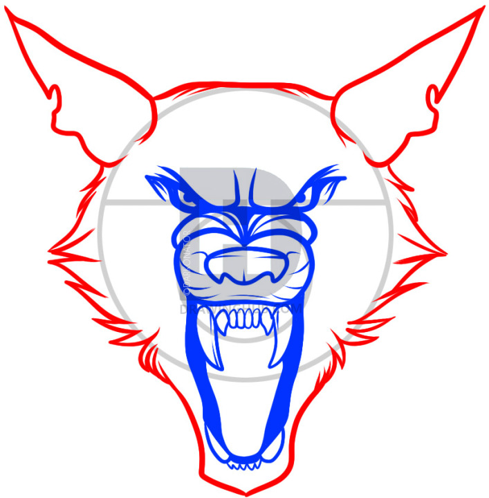 707x720 how to draw a werewolf tattoo, werewolf tattoo, step - Werewolf Head Drawing