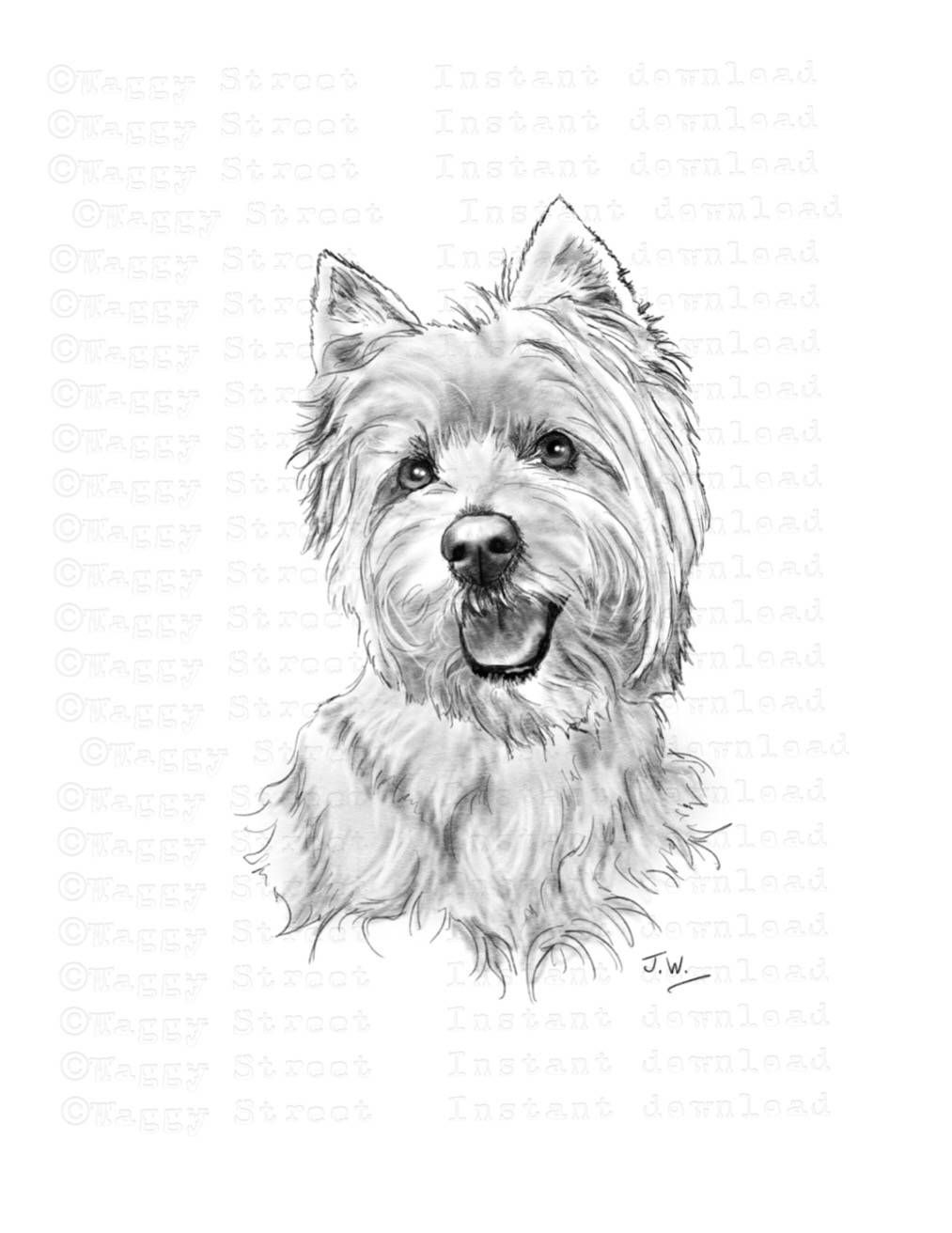 1013x1312 pin on kate spade - West Highland Terrier Drawing