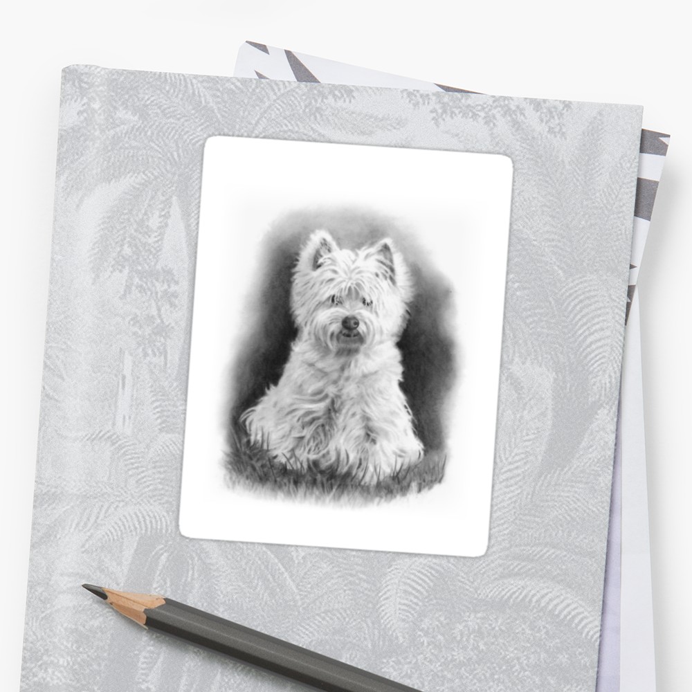 1000x1000 west highland white terrier, westie dog, pencil drawing stickers - West Highland Terrier Drawing
