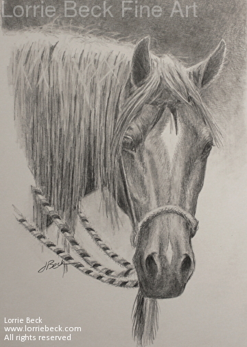 360x506 lorrie beck - Western Horse Drawings