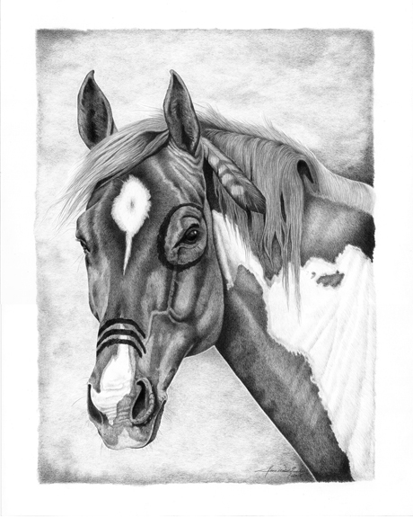 460x575 Mid South Horse Review - Western Horse Drawings