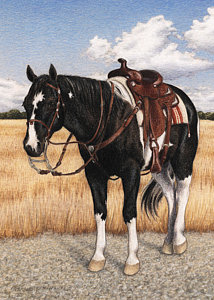214x300 western saddle drawings fine art america - Western Horse Drawings