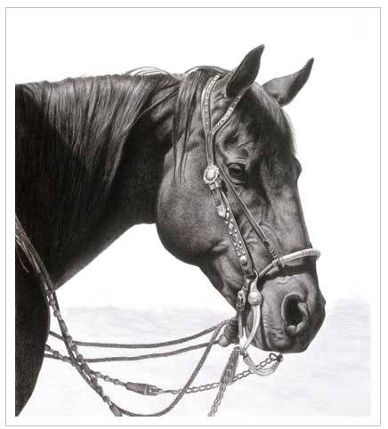 436x482 Artist Karmel Timmons Richard Beal - Western Horse Drawings