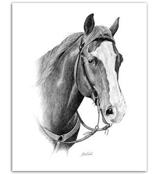324x354 blaze quarter horse art paintings for sale equine art - Western Horse Drawings